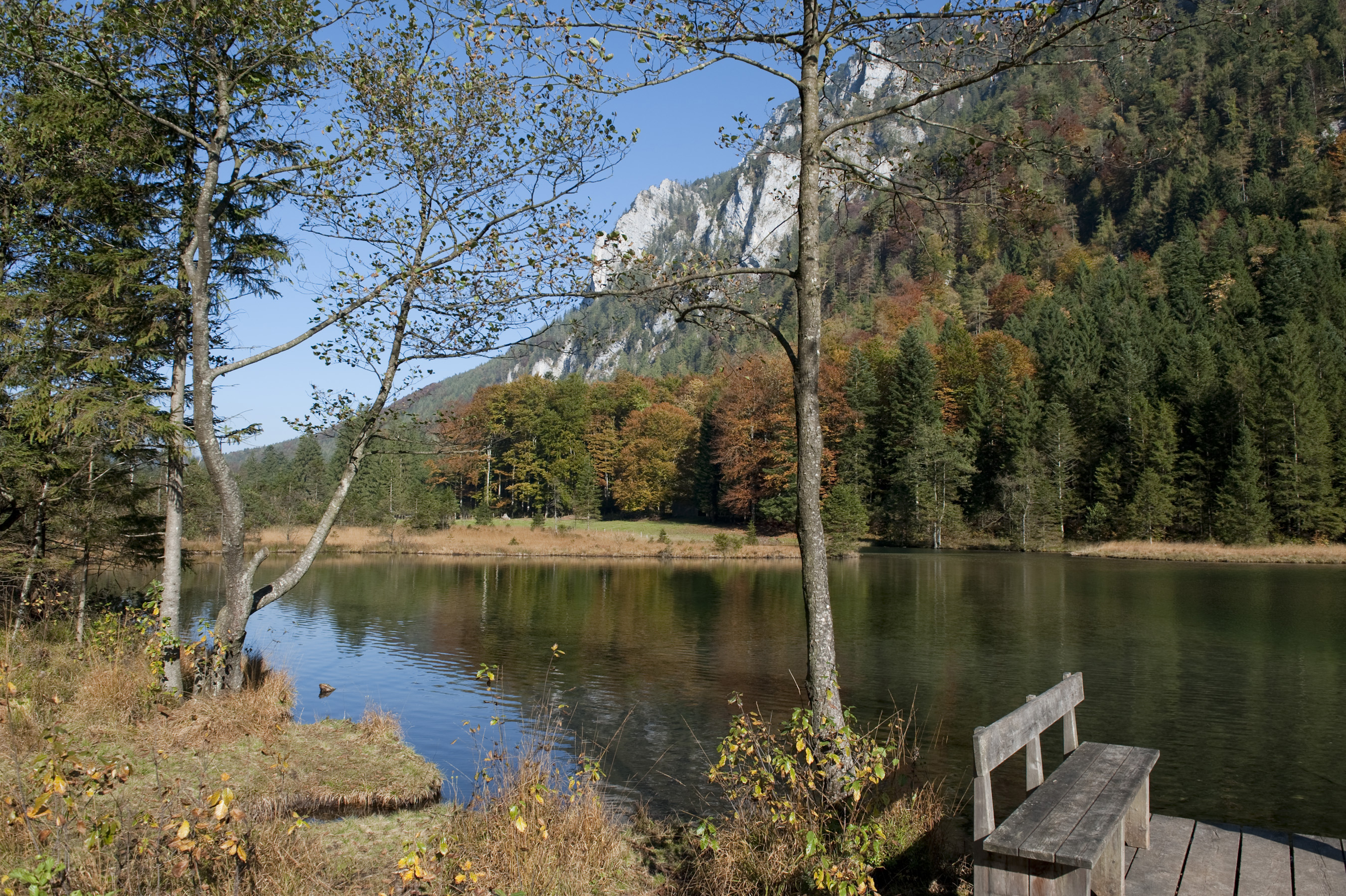 Falkensee